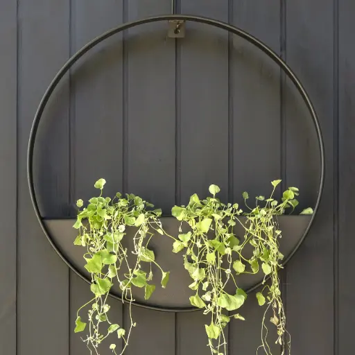 [FBHPB580] FormBoss Hanging Planter Powder Coated Black 580mm dia